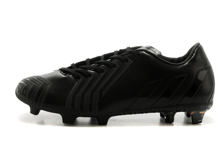 PREDATOR INSTINCT FG [R. 01] - Cliquez sur l'image pour la fermer
